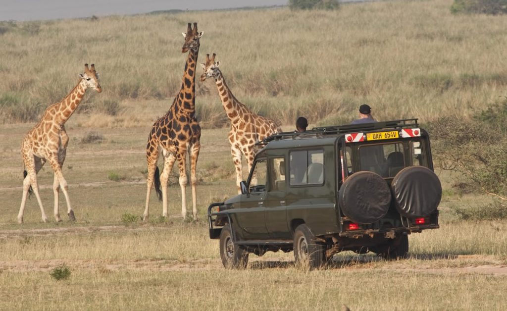 5 DAYS EXPLORE KIDEPO