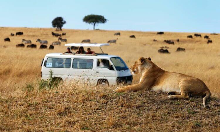 14 DAYS UGANDA SAFARI