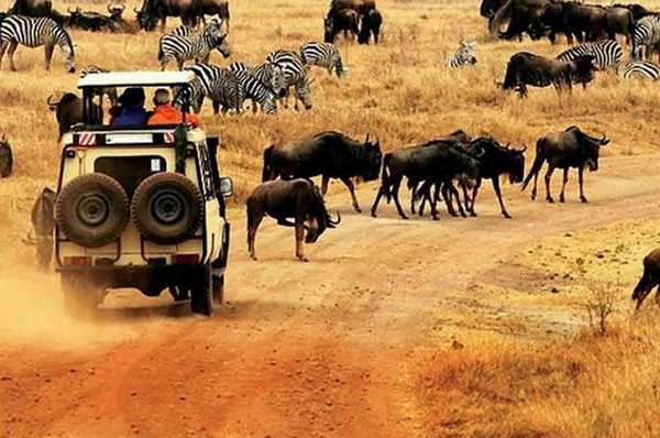7 DAYS BEST OF KENYA