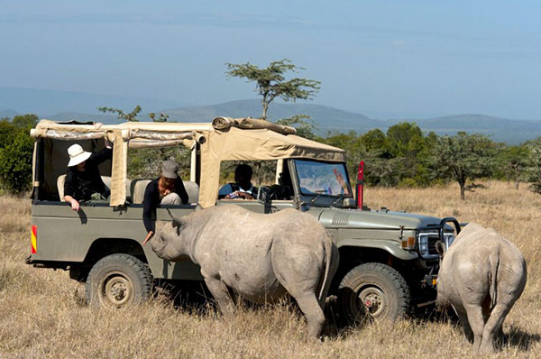8 DAYS KENYA SAFARI