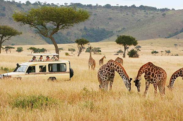 5 DAYS KENYA SAFARI