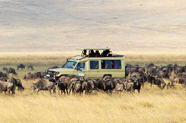 6 DAYS UGANDA/RWANDA/KENYA