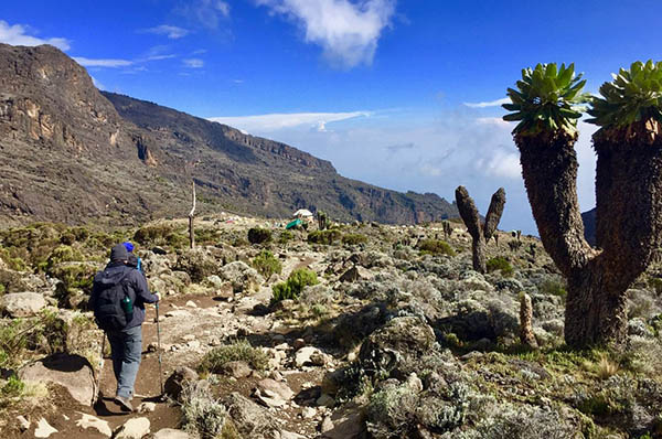 8 DAYS MACHAME ROUTE
