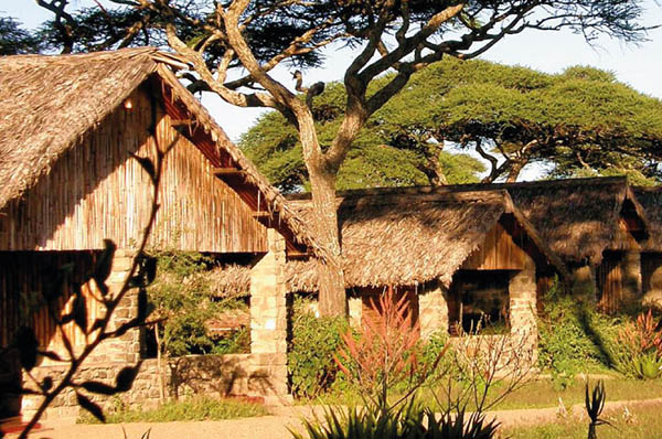 8 DAYS SAFARI-LAKE MANYARA, SERENGETI, NDUTU & NGORONGORO