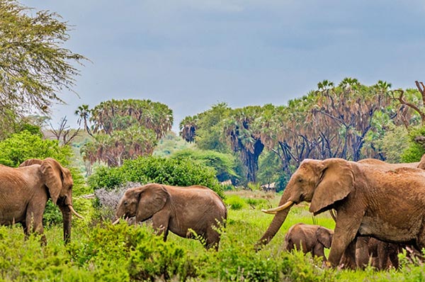 3 DAYS MAGICAL SAMBURU