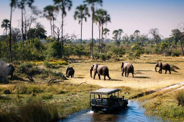 6 DAYS SAFARI LAKE MANYARA, SERENGETI, NGORONGORO CRATER & TARANGIRE