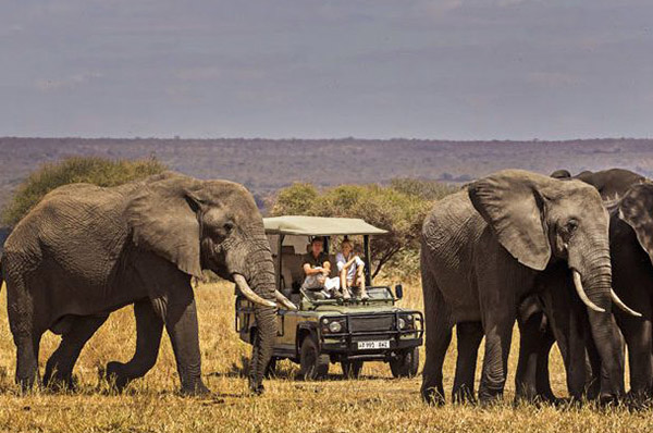 7 DAYS SAFARI LAKE MANYARA, SERENGETI, NGORONGORO CRATER & TARANGIRE