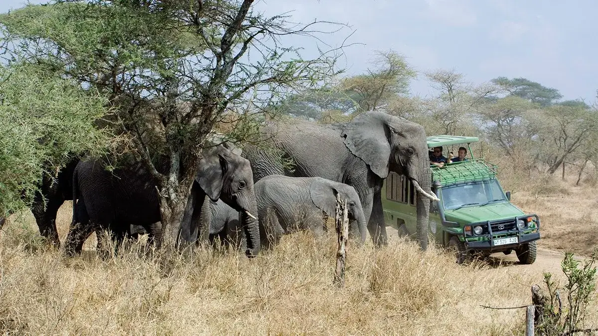 11 DAYS UGANDA SAFARI