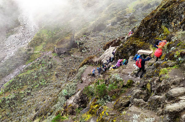 6 DAYS UMBWE ROUTE KILIMANJARO