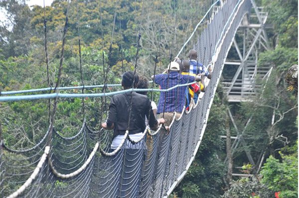 9 DAYS KIGALI SAFARI