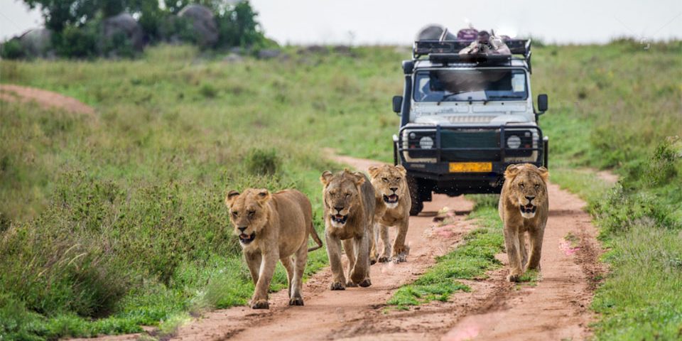 WESTERN UGANDA TOUR